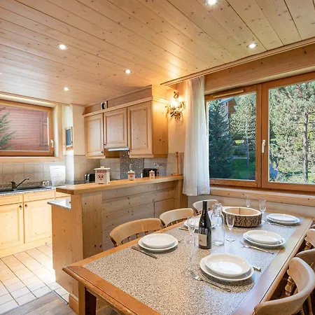 Apartamento Duplex 3 étoiles à Chamonix, Proche Des Pistes, Avec Parking Et Wi-fi - Fr-1-343-175 *